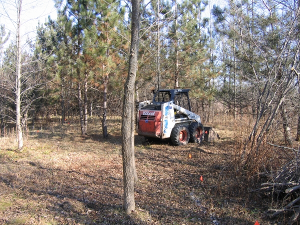 Mequon Professional Landscapers